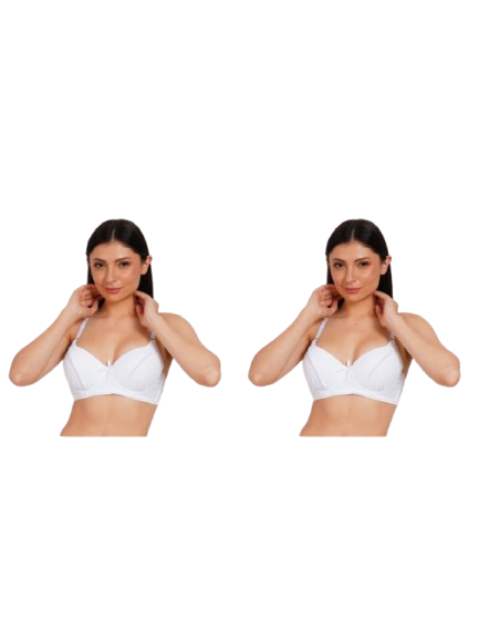 Ksvry Combo Pack of Two Women's Foreign Trade Lace Embroidery Large Size Bra